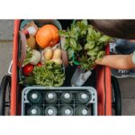 Croozer Remorque Vélo - Cargo Kalle - lava red – Image 6